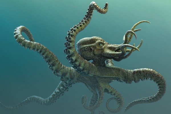 Kraken площадка